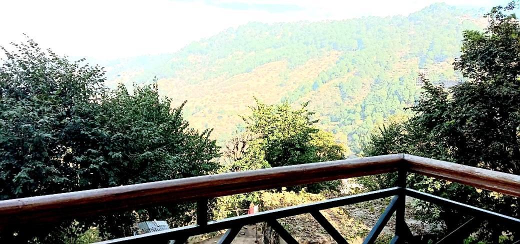 مبيت وإفطار Wildleaf Kasauli Valley Homz المظهر الخارجي الصورة