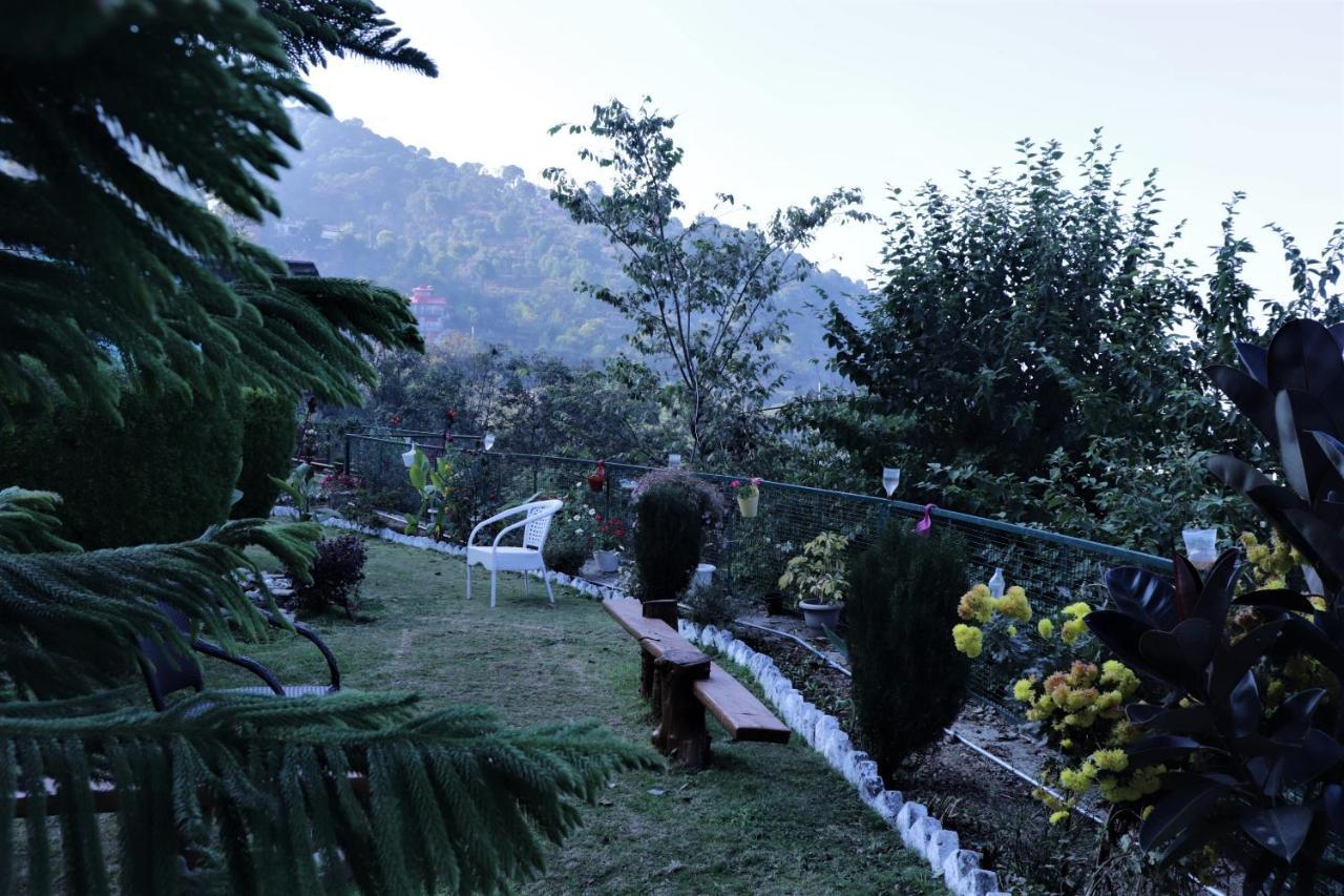 مبيت وإفطار Wildleaf Kasauli Valley Homz المظهر الخارجي الصورة