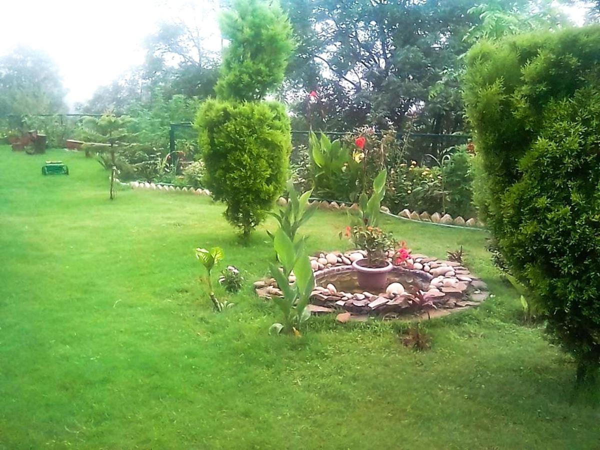 مبيت وإفطار Wildleaf Kasauli Valley Homz المظهر الخارجي الصورة