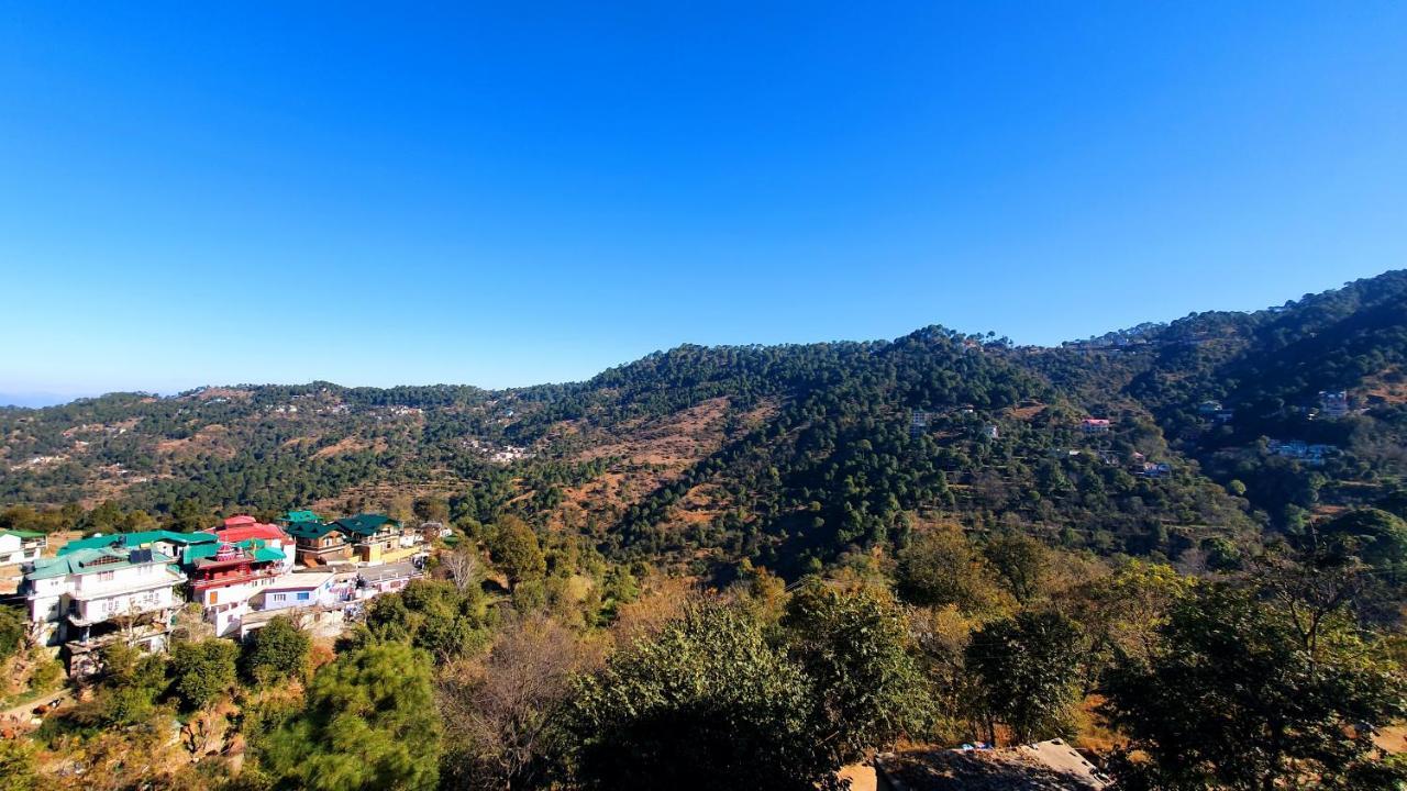 مبيت وإفطار Wildleaf Kasauli Valley Homz المظهر الخارجي الصورة